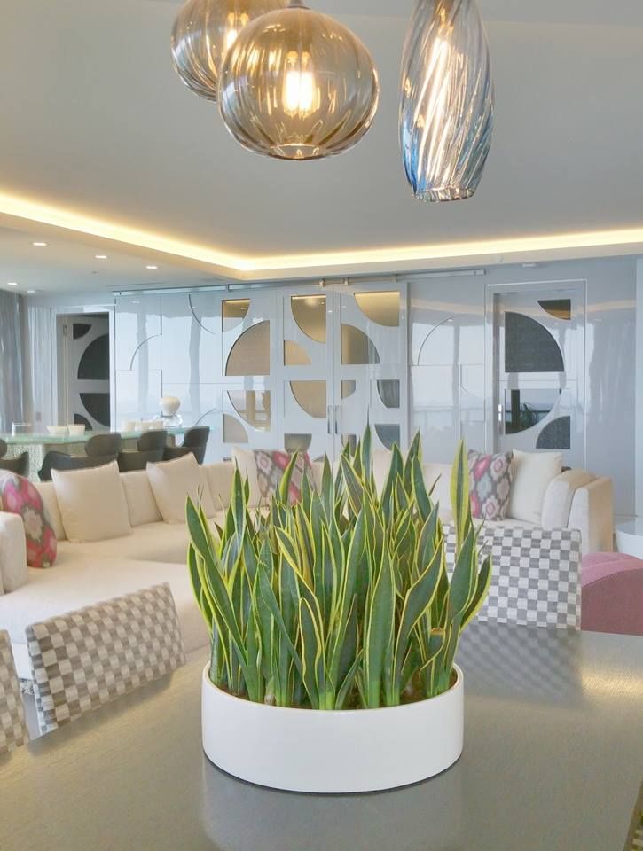 Indoor Planters