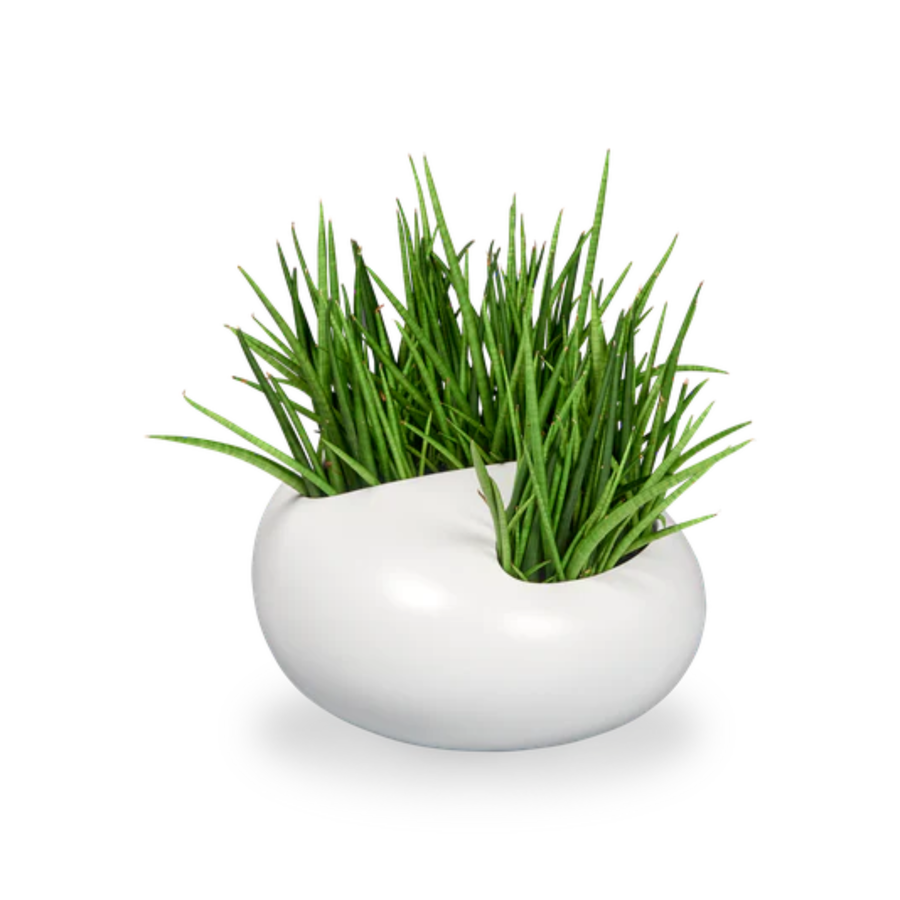 Abstract Planters