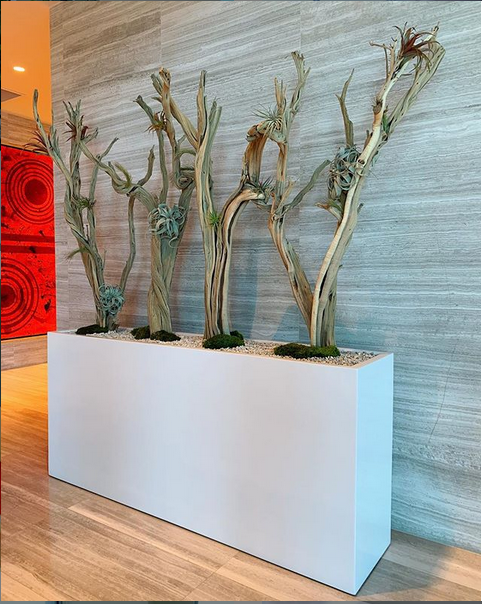 Modern Planters