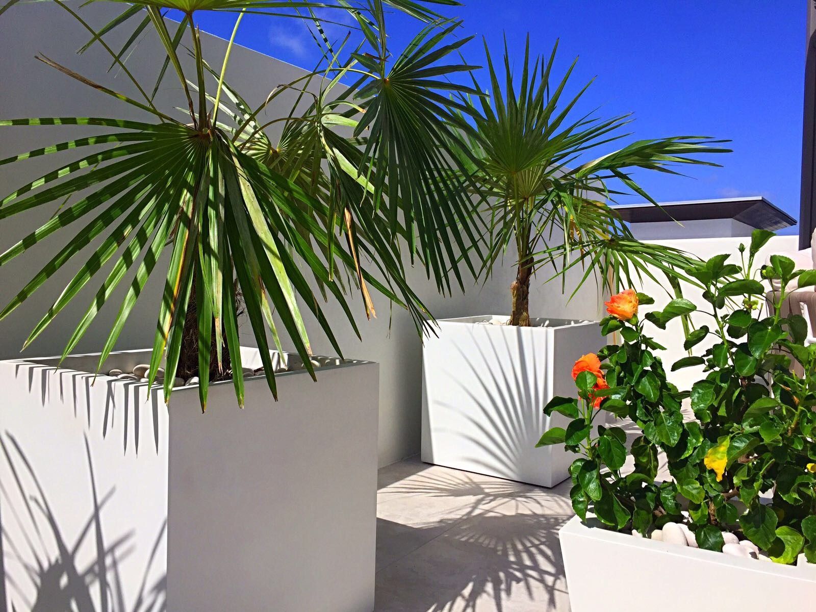 Outdoor Planters