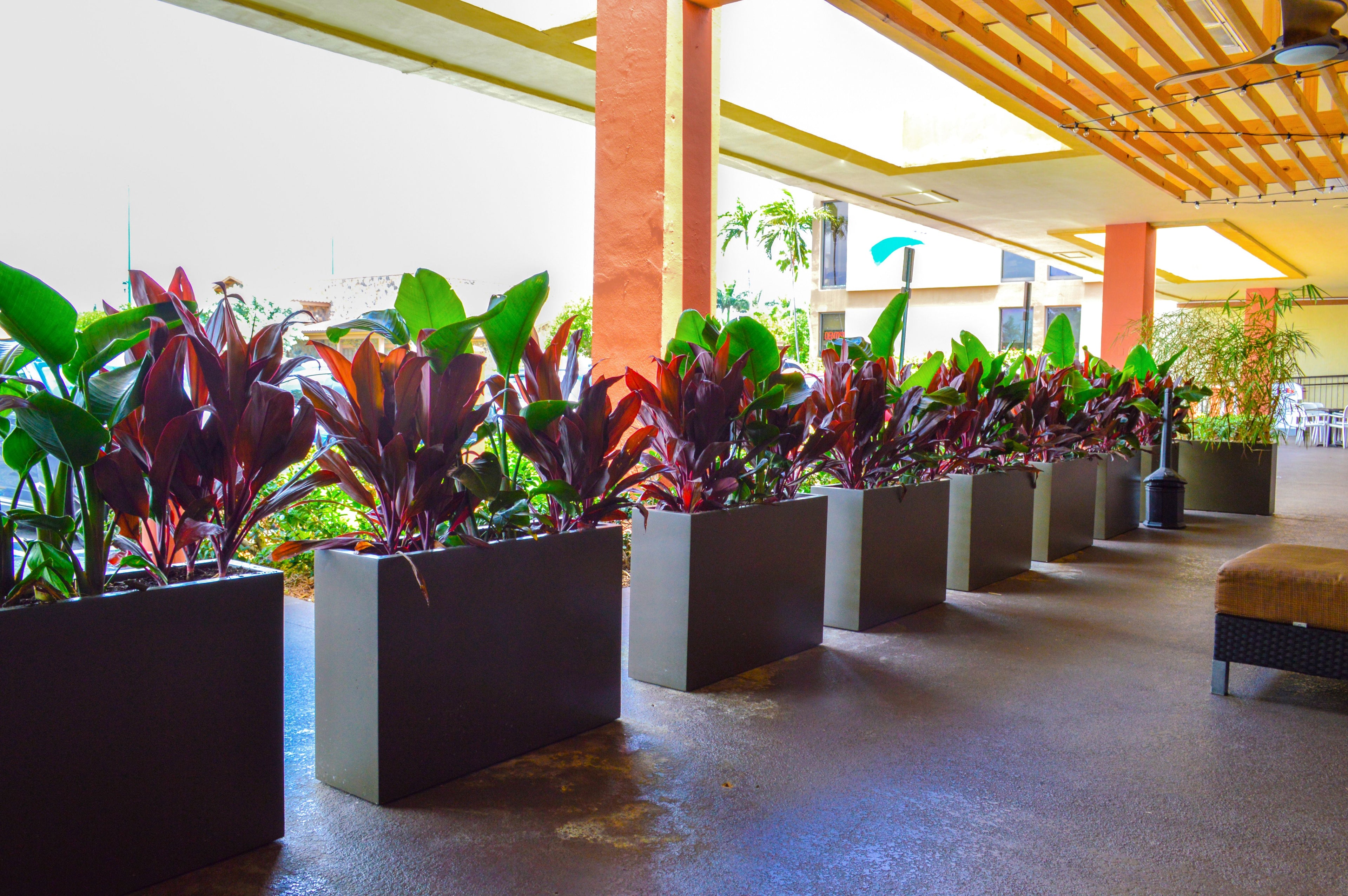 Commercial Planters