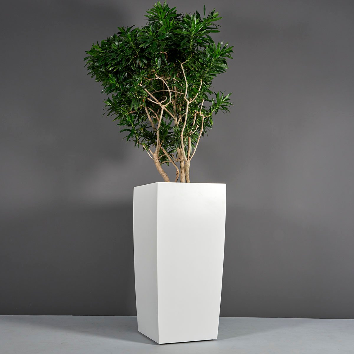 Toulan Modern Tall Tapered Square Planter Large/Extra-Large