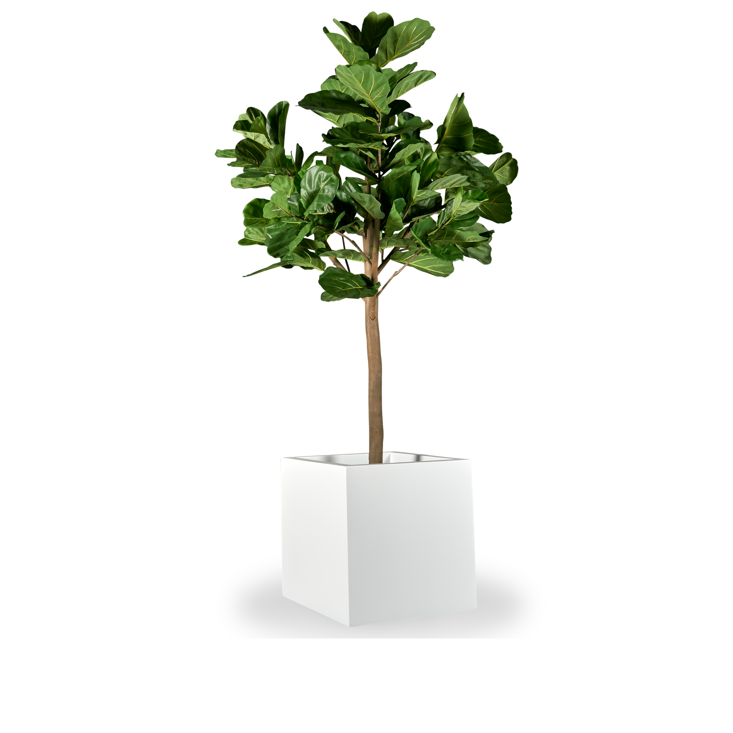 Square Planters