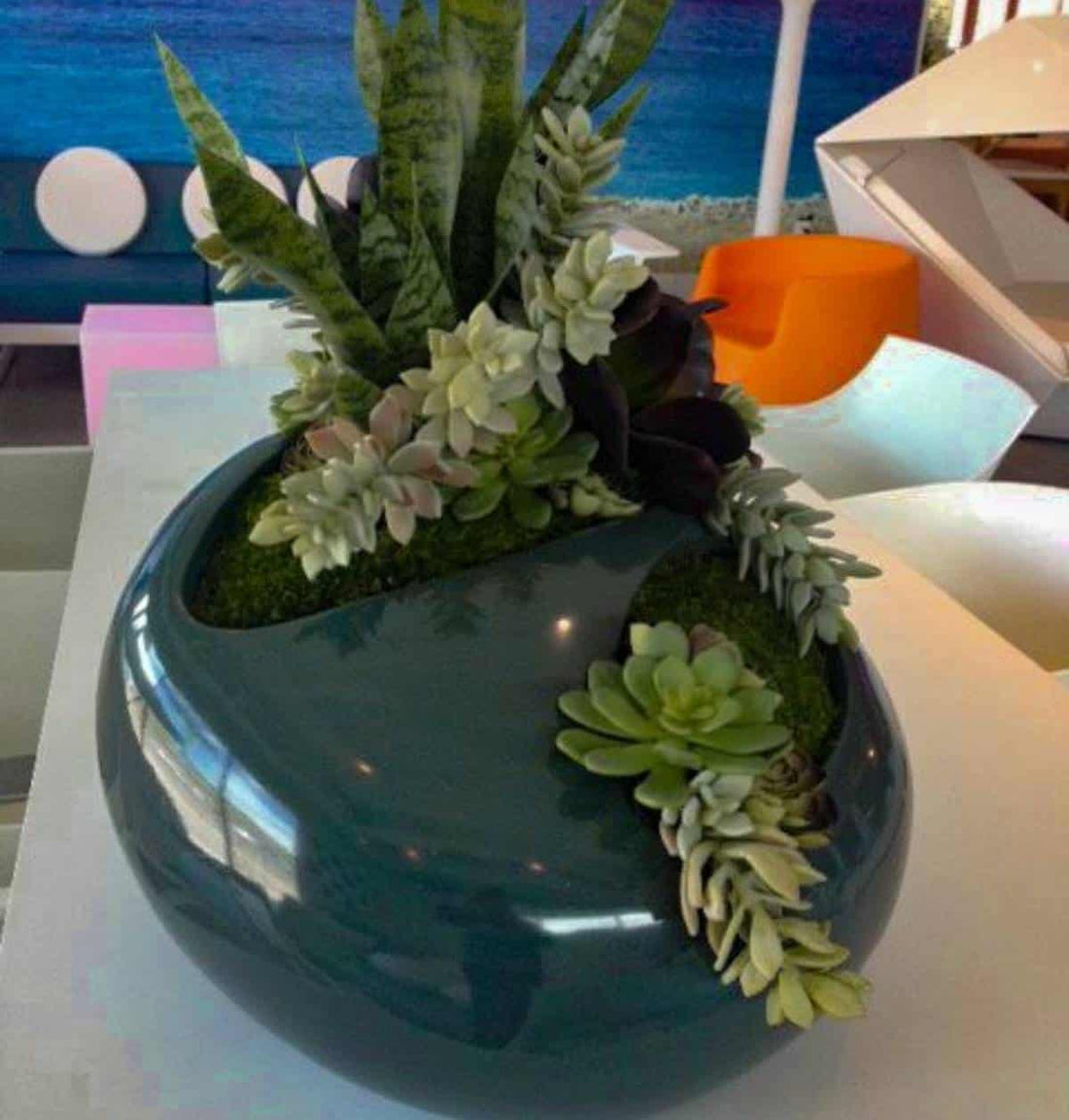 River Rock Planter (Medium)